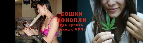 прущие грибы Осинники